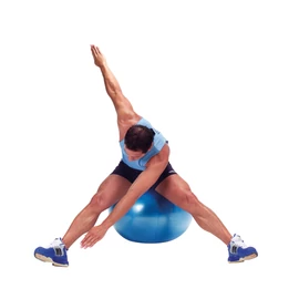 Gymnic Plus Ø 65 cm BRQ, kék