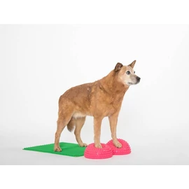 Togu - Senso Balance Igel - Egyensúlyozó, masszírozó tüskés félgömb (szett: 2db), átmérő 18,5 cm (animal)