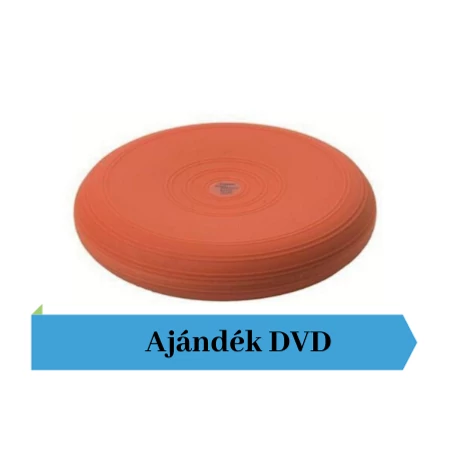 Togu® Dynair, 33 cm átm., sima felszínű dinamikus ülőpárna, terra + Ajándék DVD