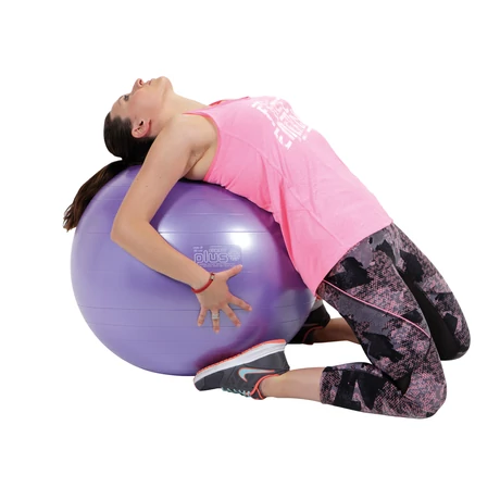 gymnic-plus-fitnesz-labda-65-cm-brq-lila