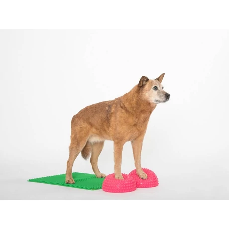 Togu - Senso Balance Igel - Egyensúlyozó, masszírozó tüskés félgömb (szett: 2db), átmérő 18,5 cm (animal)