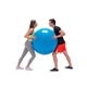 Physio Gymnic fitnesz labda Ø 95 cm, kék