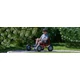 VIKING EXPLORER FunCart Large