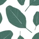 kolorky-bamboo-oko-pelenka-mintázat