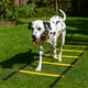 Sveltus Agility / koordinációs létra 5 m