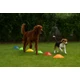 Sveltus agility bója 20 db / szett