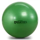 TheraBand ProSeries Premium fitness labda 65 cm, zöld