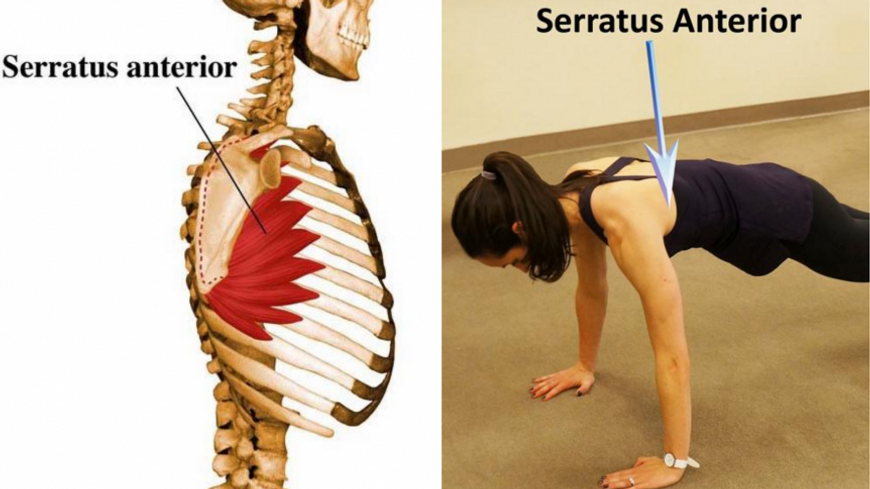 Az ízületek kímélésének jelentősége